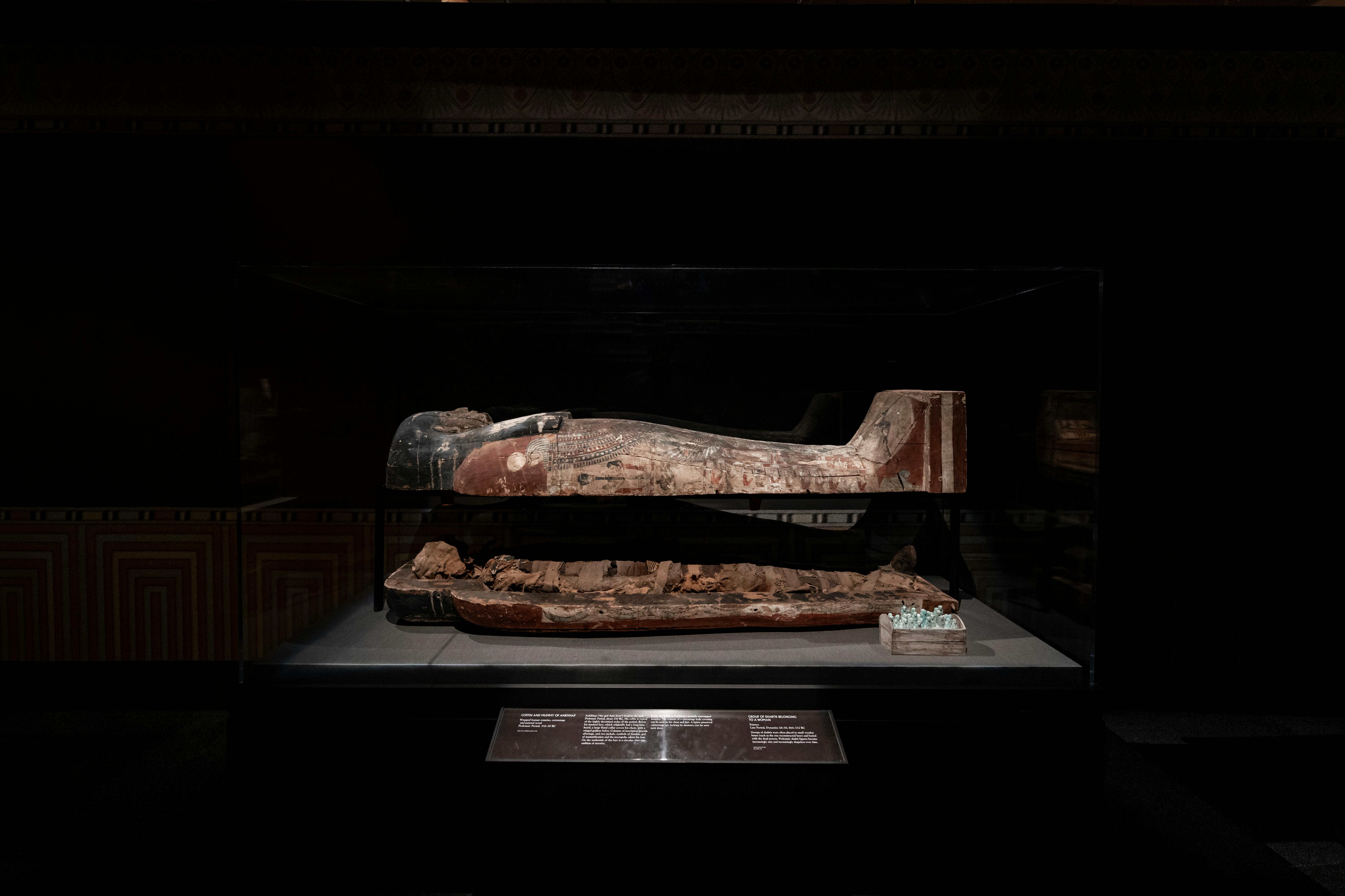 Houston Museum of Natural Science: Entry Ticket - Photo 1 of 5